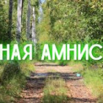 ИТОГИ ЛЕСНОЙ АМНИСТИИ.