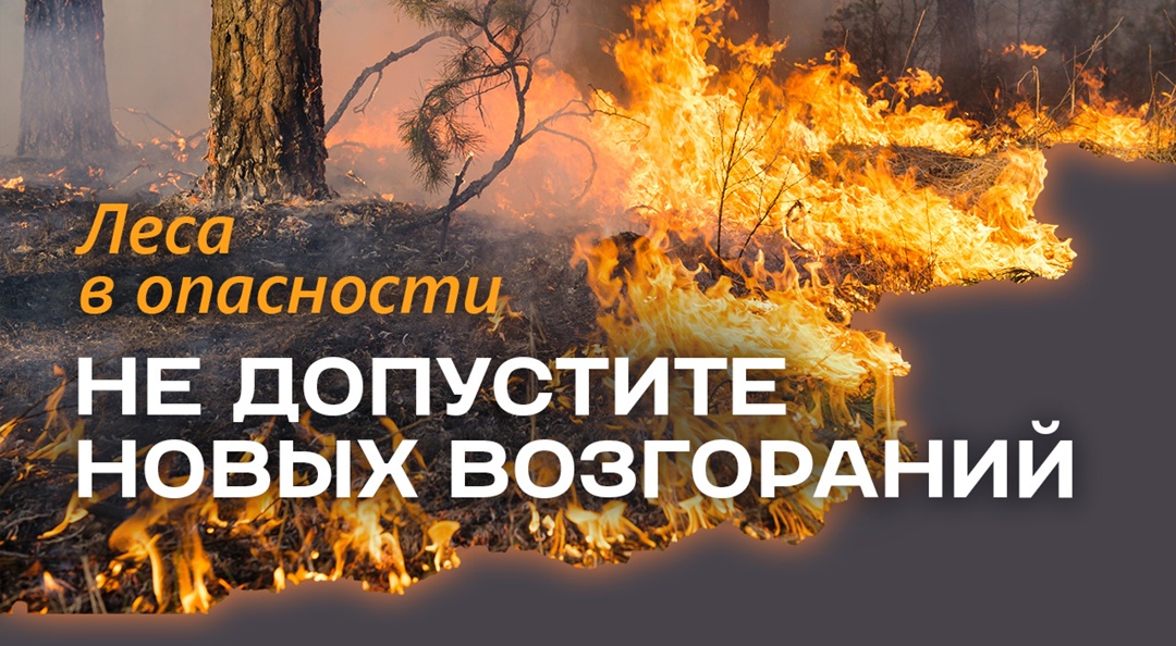 Нарушение правил пожарной безопасности в лесах ВЛЕЧЁТ ШТРАФ.