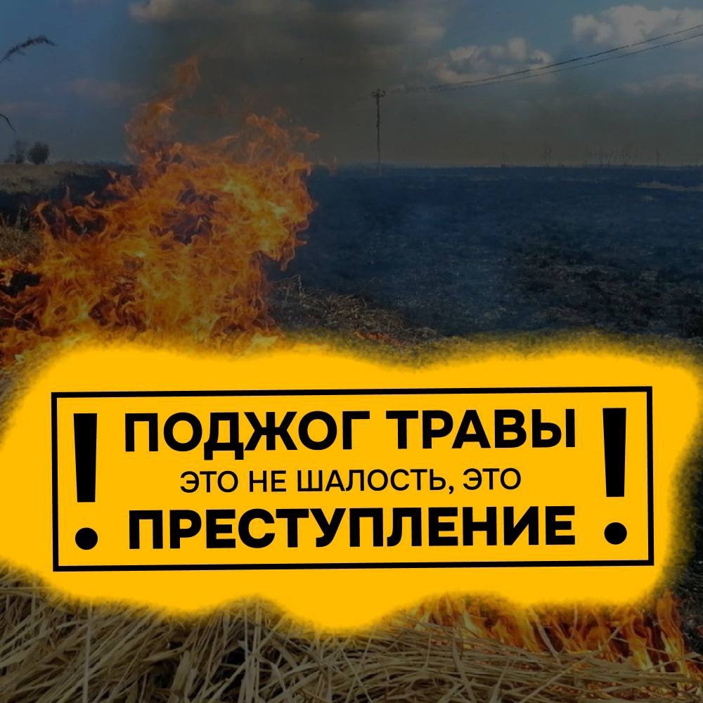 Поджог травы - это не шалость!.