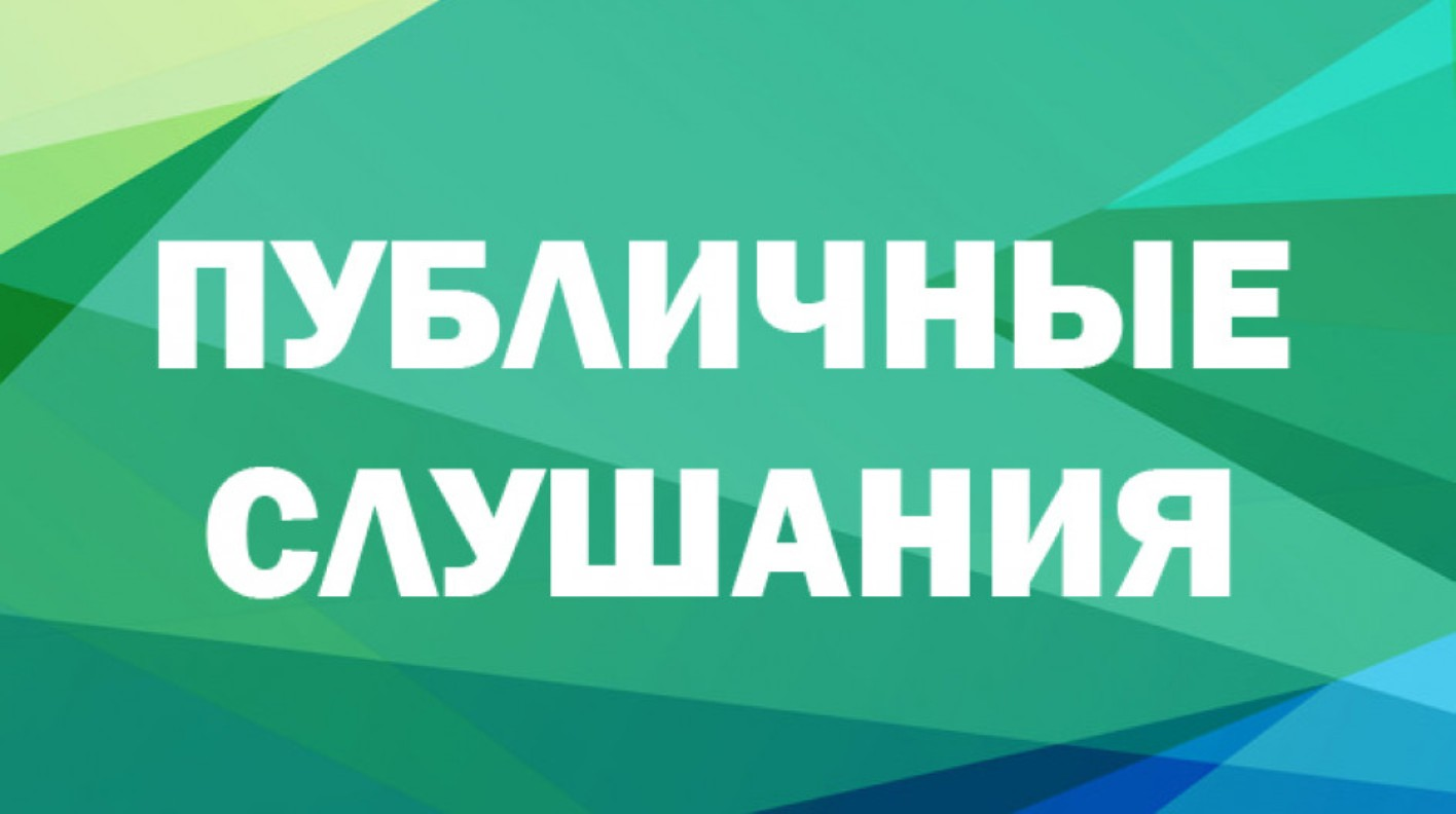 Публичные  слушания  по отчету об исполнении бюджета муниципального  образования Мирненское  сельское поселение    за 2024 год.