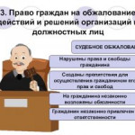 Обжалование решений должностных лиц, уполномоченных на осуществление госгеонадзора. Обжалование решений должностных лиц, уполномоченных на осуществление госгеонадзора.